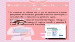 Mecanismos que mantienen el equilibrio 
hídrico 
La homeostasis del volumen total de agua se mantienen en el cuerpo 
princip