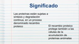 Significado 
 
 
2 
Las proteínas están sujetas a 
síntesis y degradación 
continua, en un proceso  
denominado recambio 
pro