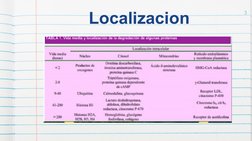 Localizacion  
3 
