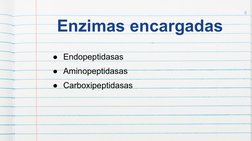 4 
Enzimas encargadas 
●  Endopeptidasas 
●  Aminopeptidasas 
●  Carboxipeptidasas 
