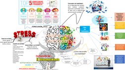HABILIDADES
 PERSONALES
Concepto de Habilidad :
Es la capacidad del hombre 
para 
realizar 
cualquier 
operación (actividad)