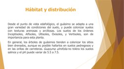 Hábitat y distribución
Desde el punto de vista edafológico, el guásimo se adapta a una 
gran variedad de condiciones del suel
