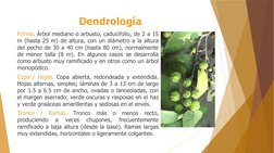 Dendrología 
Forma. Árbol mediano o arbusto, caducifolio, de 2 a 15 
m (hasta 25 m) de altura, con un diámetro a la altura 
d