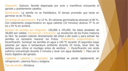 Dispersión. Zoócora. Semilla dispersada por aves y mamíferos incluyendo el 
ganado y posiblemente caballos. 
Germinación. La