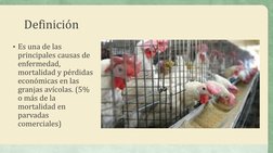 Definición
• Es una de las 
principales causas de 
enfermedad, 
mortalidad y pérdidas 
económicas en las 
granjas avícolas. (