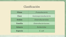 Clasificación
Filum
Proteobacteria
Clase
Gammaproteobacteria
Orden
Enterobacteriales
Familia
Enterobacteriaceae.
Género
Esche