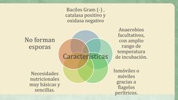 Bacilos Gram (-) , 
catalasa positivo y 
oxidasa negativo
Anaerobios 
facultativos, 
con amplio 
rango de 
temperatura 
de in