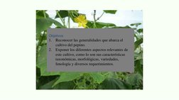 Objetivos
1.
Reconocer las generalidades que abarca el 
cultivo del pepino.
2.
Exponer los diferentes aspectos relevantes de