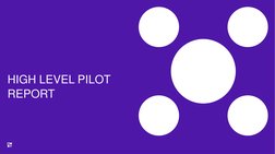 HIGH LEVEL PILOT
REPORT