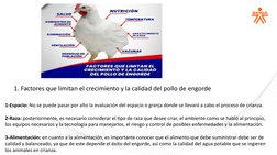1. Factores que limitan el crecimiento y la calidad del pollo de engorde
1-Espacio: No se puede pasar por alto la evaluación