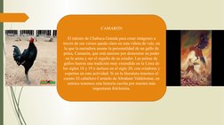 CAMARÓN
El talento de Chabuca Granda para crear imágenes a 
través de sus versos queda claro en esta viñeta de vals, en 
la q