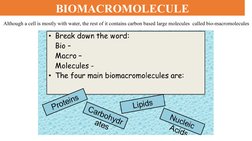 Overview of Biomacromolecules and Functions | PDF | Nucleic Acids ...