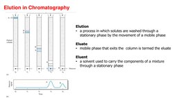 Elution in Chromatography  
Elution  
• a process in which solutes are washed through a 
stationary phase by the movement of