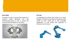 Brazo doble
Sin duda el uso de un robot de brazo doble en la 
industria 
puede 
garantizar 
una 
alta 
productividad gracias