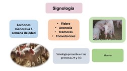 Signología 
Adoptan la postura de “perro sentado” 
