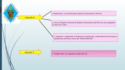 a. Representar  a los profesionales químicos farmacéuticos del Perú.
q. Llevar el Registro Nacional de Químico Farmacéutico d