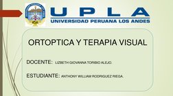 ORTOPTICA Y TERAPIA VISUAL  
 
 
DOCENTE:   LIZBETH GIOVANNA TORIBIO ALEJO. 
  
 
ESTUDIANTE: ANTHONY WILLIAM RODRIGUEZ RIEGA