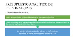 PRESUPUESTO ANALÍTICO DE 
PERSONAL (PAP)
• Disposiciones Especificas
Los referidos PAP serán elaborados cada uno en dos formu