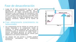 Fase de desaceleración
Luego
de
la
fase
exponencial
hay
un
rápido
período
de
desaceleración
causada
por
el
agotamiento
de
al