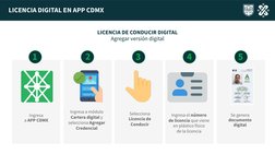 5
1
2
3
4
Ingresa 
a APP CDMX
Ingresa a módulo 
Cartera digital y 
selecciona Agregar 
Credencial
Selecciona 
Licencia de 
Co