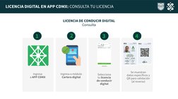 Selecciona 
tu licencia 
de conducir 
digital
Ingresa 
a APP CDMX
Ingresa a módulo 
Cartera digital
Se muestran 
datos especí