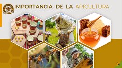 Importancia y Beneficios de la Apicultura | PDF | Apicultura | Miel