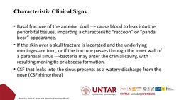 Characteristic Clinical Signs :
• Basal fracture of the anterior skull       cause blood to leak into the 
periorbital tissue