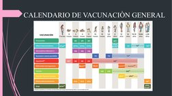 CALENDARIO DE VACUNACIÒN GENERAL
