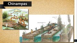 6
Chinampas

