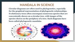 Mathematics in Mandala Art Project | PDF | Mandala