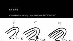 Ridge Counting and Tracing Guide | PDF