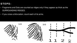 Ridge Counting and Tracing Guide | PDF
