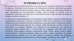 INTRODUCCIÓN
• Las intoxicaciones en animales domésticos vienen siendo una de las grandes demandas en los centros 
de urgenci