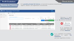En la pantalla principal del sistema, se mostrarán las opciones necesarias para 
registrar, subsanar y dar seguimiento