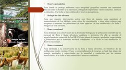 
Reserva paisajística
Área donde se protege ambientes cuya integridad geográfica muestra una armoniosa 
relación entre el ho