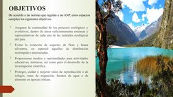 OBJETIVOS

Asegurar la continuidad de los procesos ecológicos y 
evolutivos, dentro de áreas suficientemente extensas y 
rep