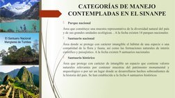 CATEGORÍAS DE MANEJO 
CONTEMPLADAS EN EL SINANPE

Parque nacional
Área que constituye una muestra representativa de la diver