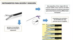  
INSTRUMENTOS PARA SECCIÓN Y DISECCIÓN
INSTRUMENTOS PARA SECCIÓN Y DISECCIÓN
Mas pequeños y finos, 
Mas pequeños y finos, la