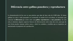 z
Diferencia entre gallina ponedora y reproductora
La domesticación de las aves es una práctica que data de hace más de 4.000