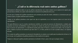 z ¿Cuál es la diferencia real entre ambas gallinas?
Básicamente la diferencia radica en que las gallinas reproductoras van a