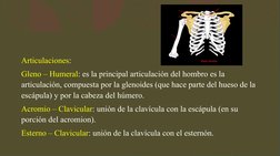 Articulaciones:
Gleno – Humeral: es la principal articulación del hombro es la 
articulación, compuesta por la glenoides (que