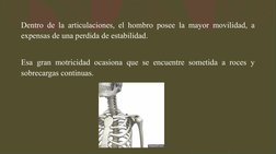 Dentro de la articulaciones, el hombro posee la mayor movilidad, a 
expensas de una perdida de estabilidad.
Esa gran motricid
