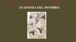 ANATOMÍA DEL HOMBRO
