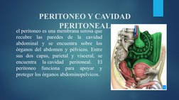 PERITONEO Y CAVIDAD 
PERITONEAL
el peritoneo es una membrana serosa que 
recubre las paredes de la cavidad 
abdominal y se en