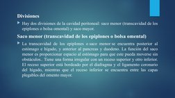 Divisiones
Hay dos divisiones de la cavidad peritoneal: saco menor (transcavidad de los 
epiplones o bolsa omental) y saco m