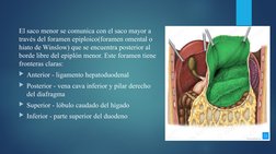 El saco menor se comunica con el saco mayor a 
través del foramen epiploico(foramen omental o 
hiato de Winslow) que se encue