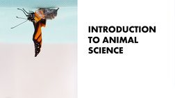 INTRODUCTION 
TO ANIMAL 
SCIENCE
