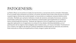 PATOGENESIS: 
 La fiebre aftosa se encuentra en todas las excreciones y secreciones de los animales infectados. 
El virus pue