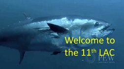 Welcome to 
the 11th LAC
