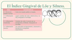 El Índice Gingival de Löe y Silness.
El Índice Gingival de Löe y Silness.
Valor 
características
0 = Encía en 
estado normal